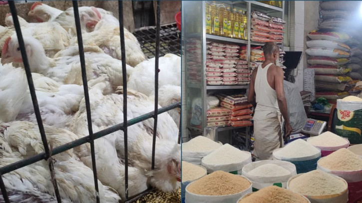 ফাইল ছবি