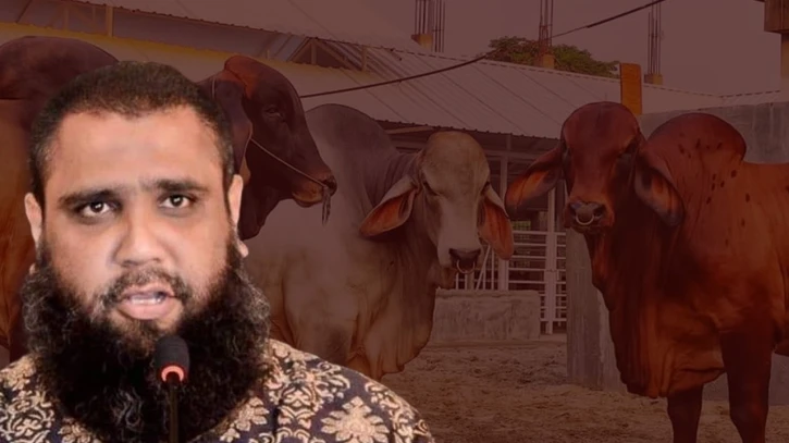 ছবি: সংগৃহীত