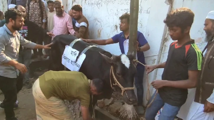 ছবি: সংগৃহীত