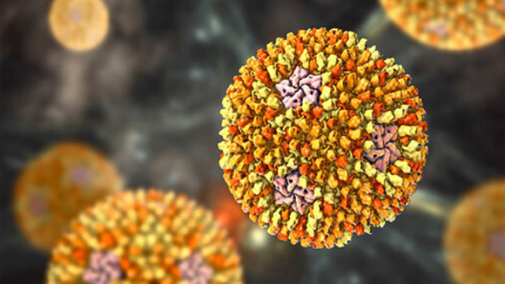 ফাইল ছবি