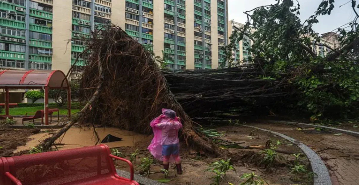 -সংগৃহীত ছবি