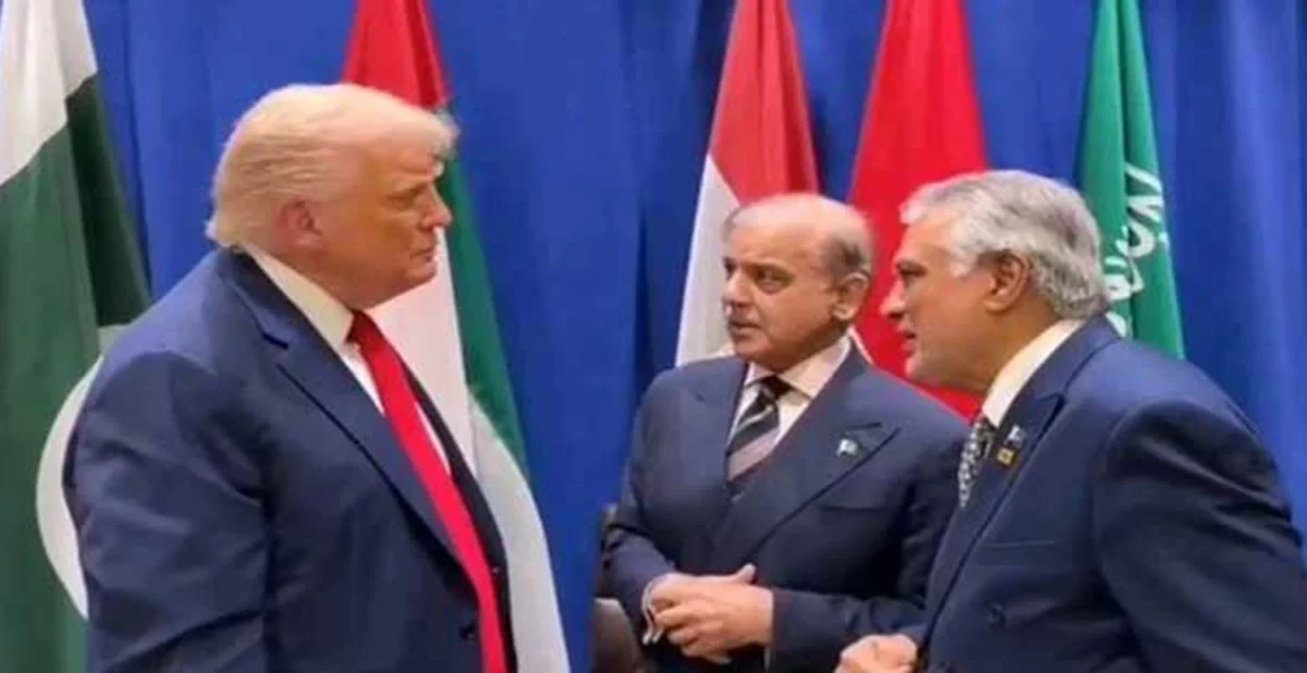 -সংগৃহীত ছবি